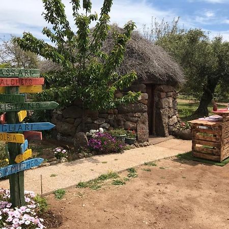 Azienda Agricola Affittacamere S'Ispinalba Di Laura Pitzolu Borore Esterno foto