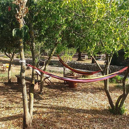 Azienda Agricola Affittacamere S'Ispinalba Di Laura Pitzolu Borore Esterno foto