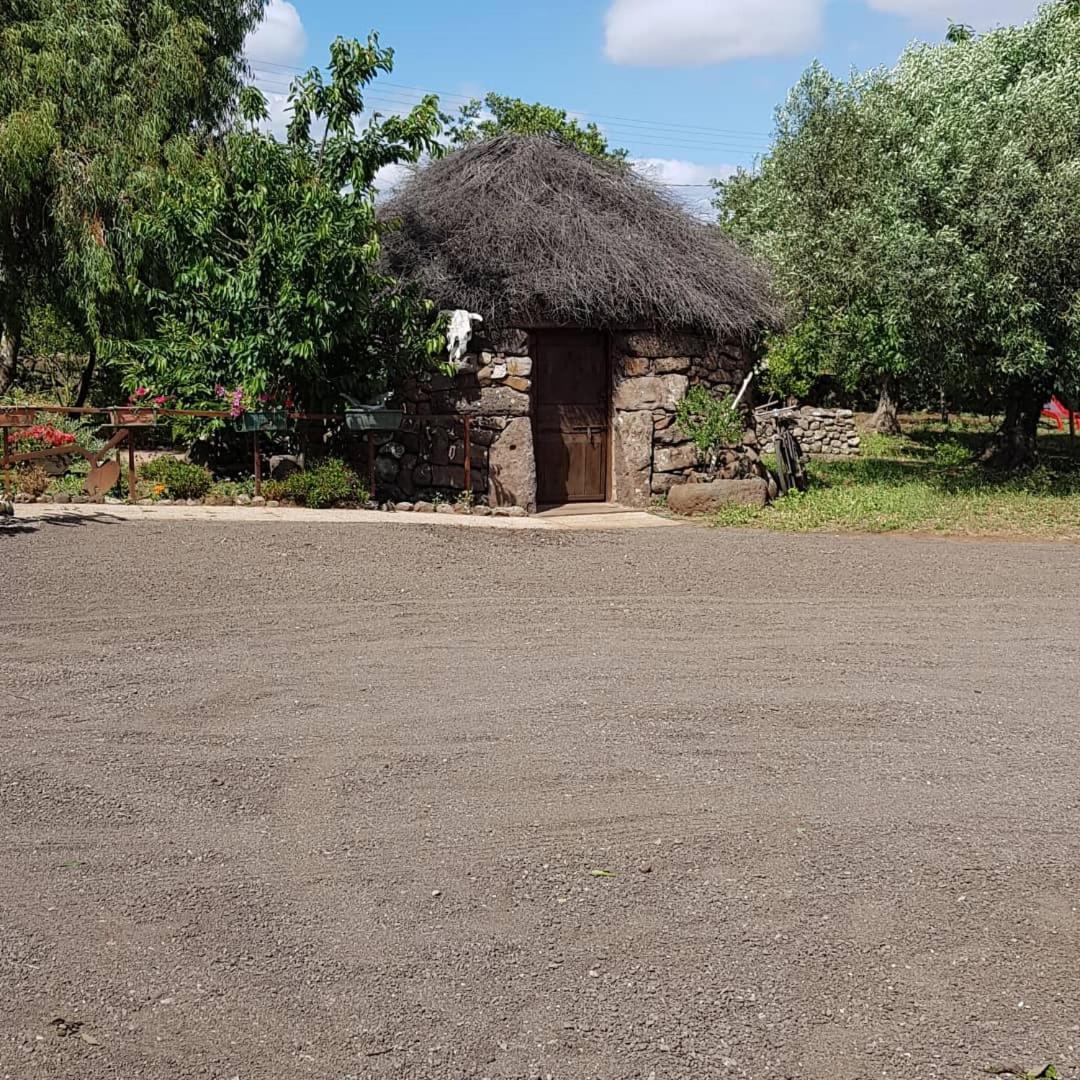 Azienda Agricola Affittacamere S'Ispinalba Di Laura Pitzolu Borore Esterno foto