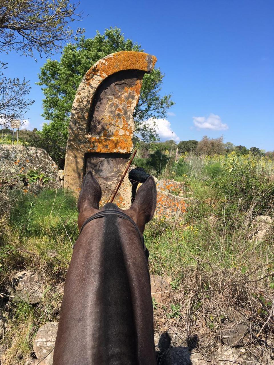 Azienda Agricola Affittacamere S'Ispinalba Di Laura Pitzolu Borore Esterno foto