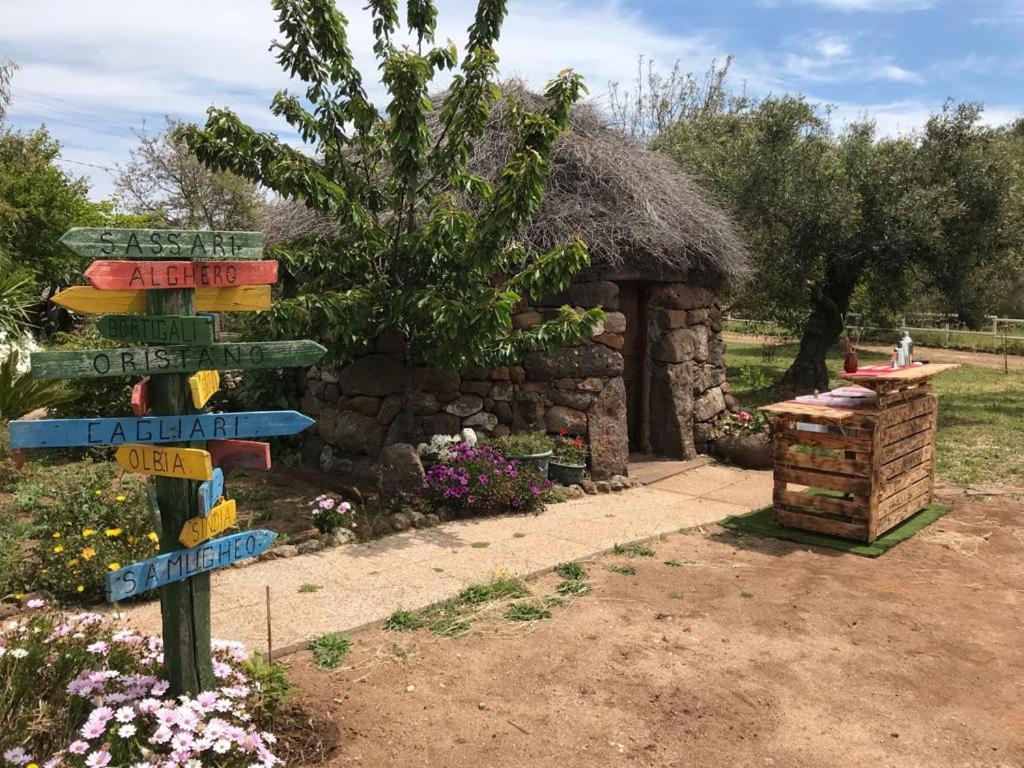 Azienda Agricola Affittacamere S'Ispinalba Di Laura Pitzolu Borore Esterno foto