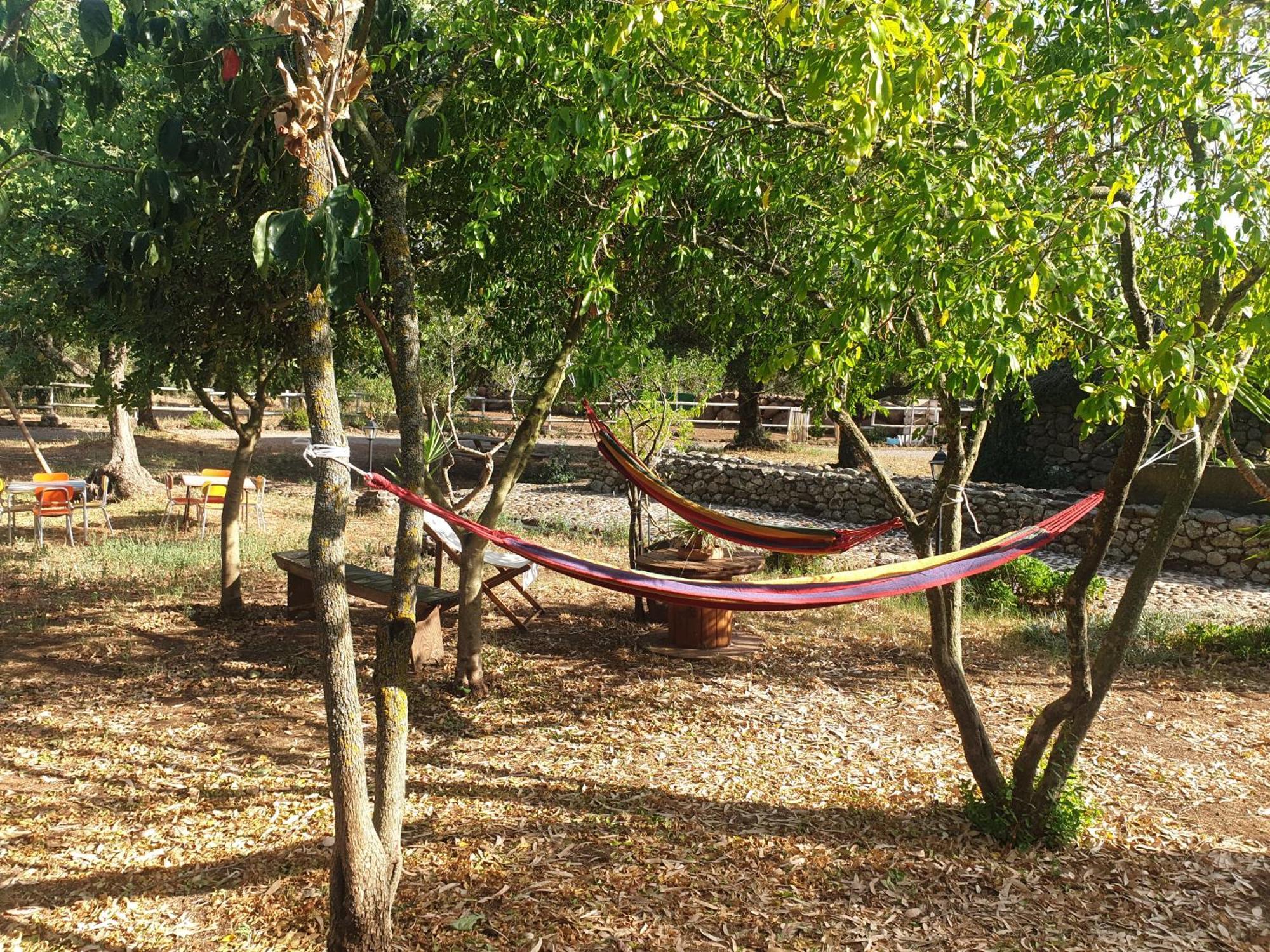 Azienda Agricola Affittacamere S'Ispinalba Di Laura Pitzolu Borore Esterno foto